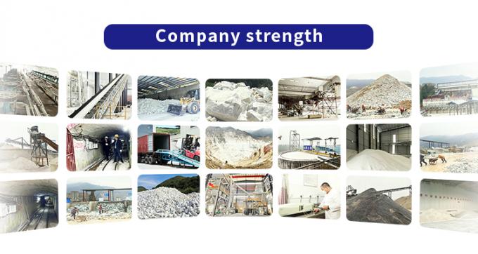 Guangdong XiMi New Material Technology Co., Ltd Fabrieksreis