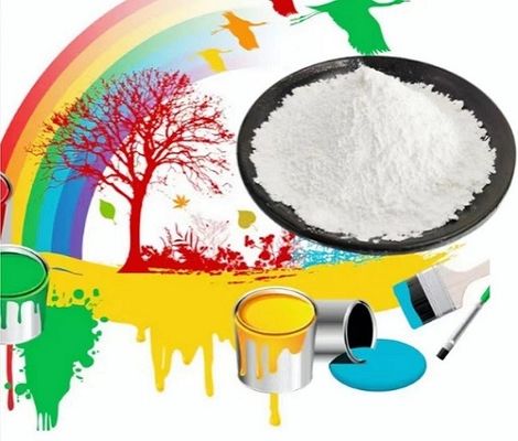 1250 Mesh Talc Raw Material CAS No 14807-96-6 Wit Poeder