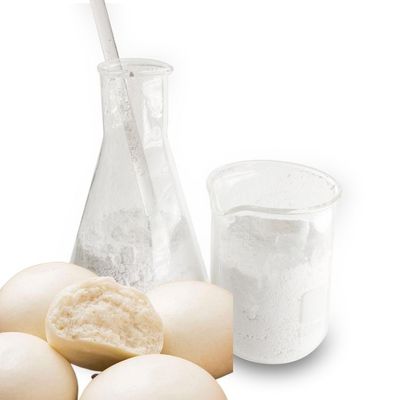 Voedings van het het Carbonaatpoeder van het Vestingwerk Bijkomende Calcium niet Giftige het Voedselrang